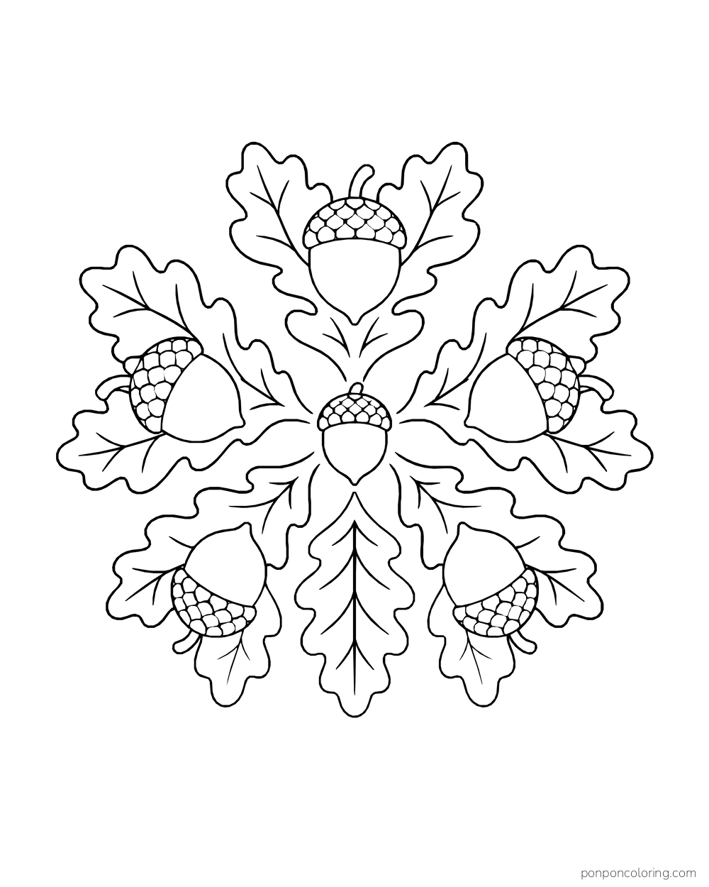 Five acorns radiate around a small central acorn among lobed oak leaves.