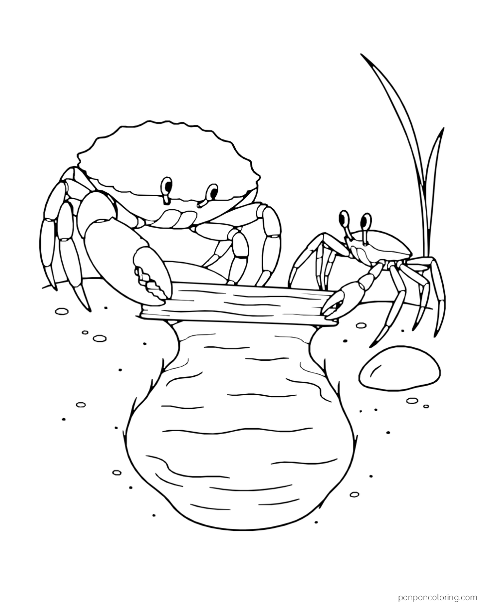 Two crabs face each other at opposite ends of a driftwood log spanning a narrow pool.