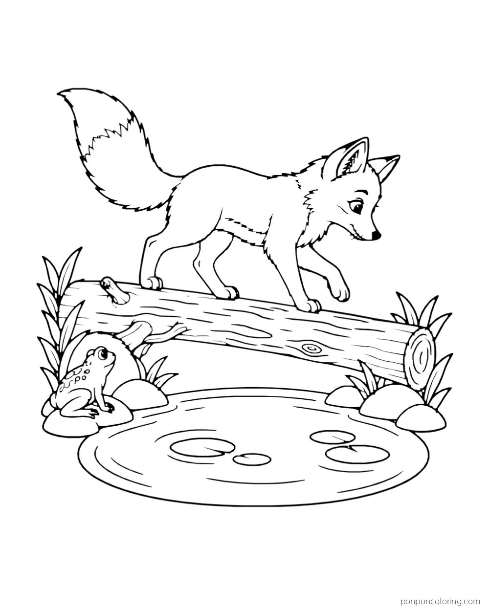 A fox walks along a fallen log above a small pond while a frog watches.