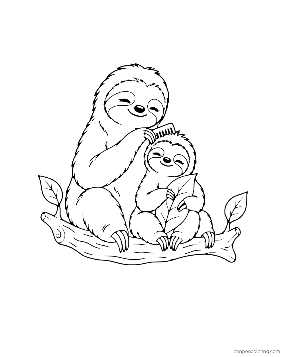 Adult sloth combing a young sloth's head while they sit together on a branch, the youngster holding a leaf.
