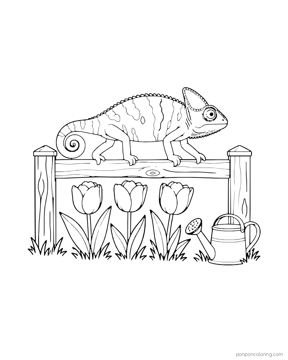 A chameleon walks along a short garden fence above three tulips, with a watering can below.