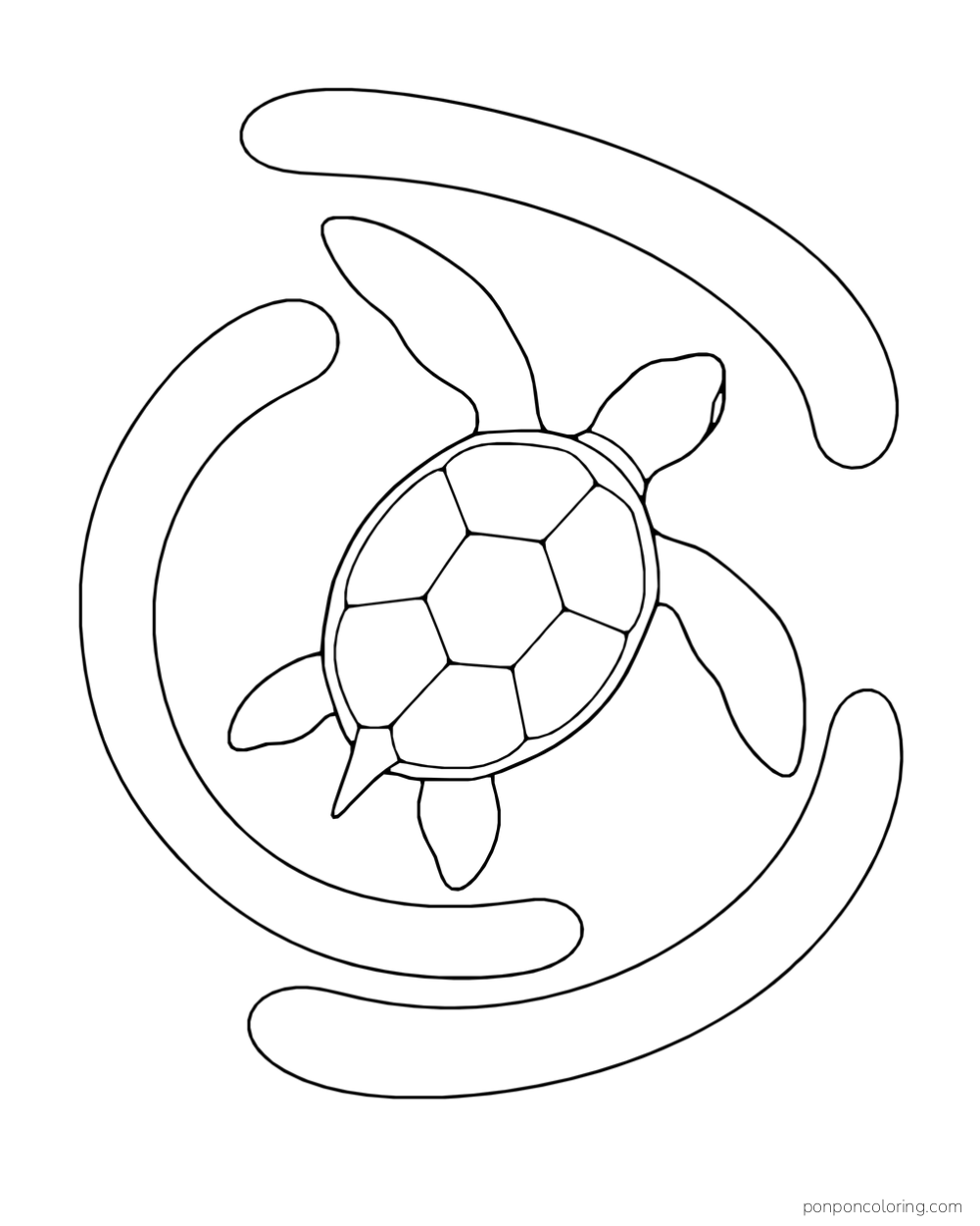 A young sea turtle seen from above floats among three broad curved water bands.