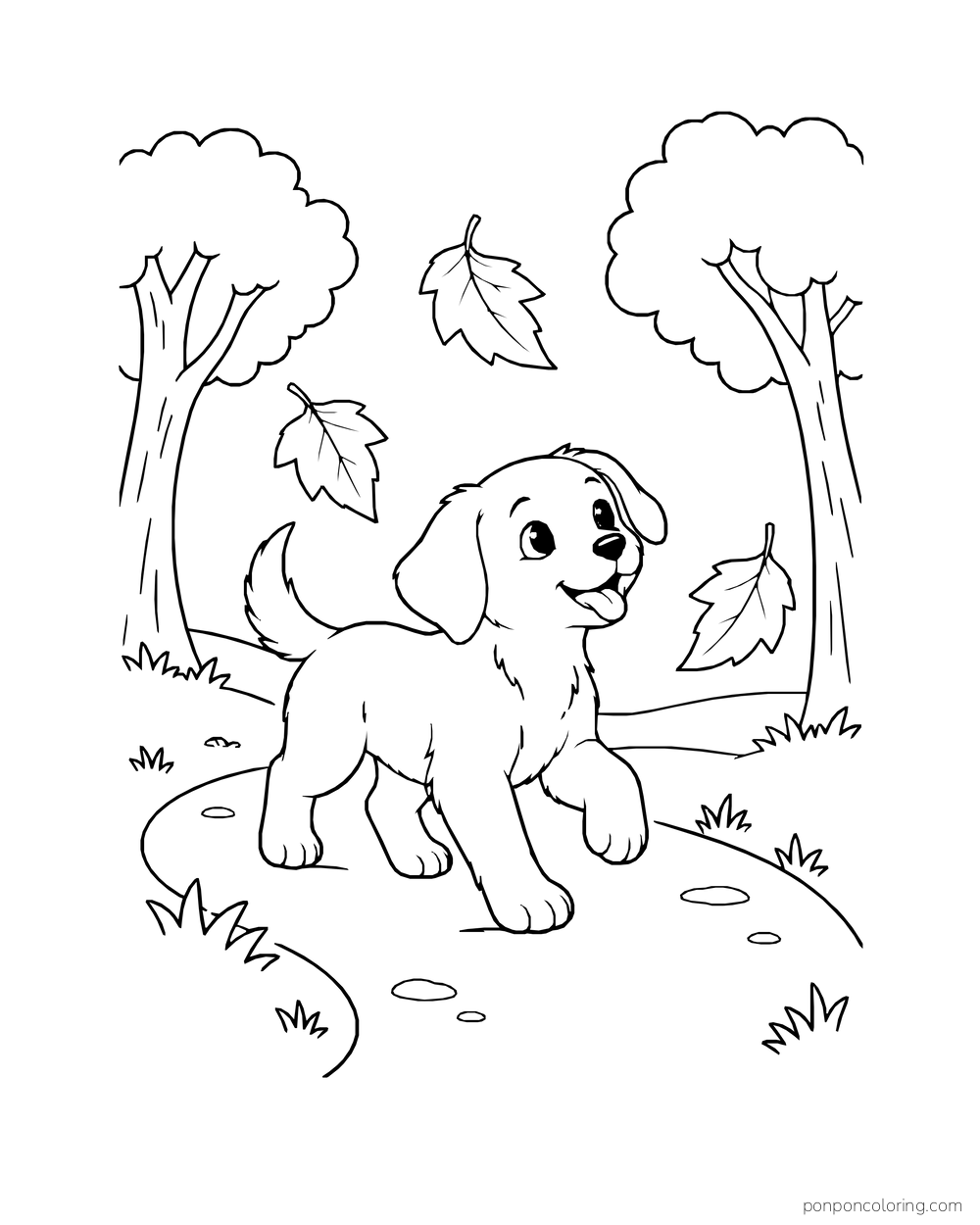 A puppy trots along a curved autumn path between trees as large leaves fall.