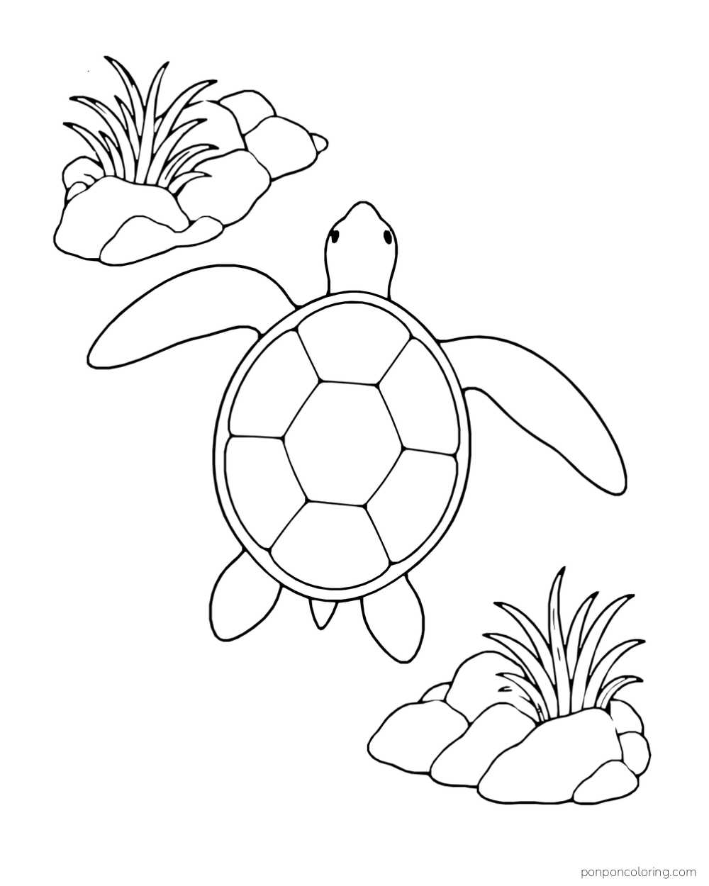 A sea turtle seen from above swims between two separate rocky islets.