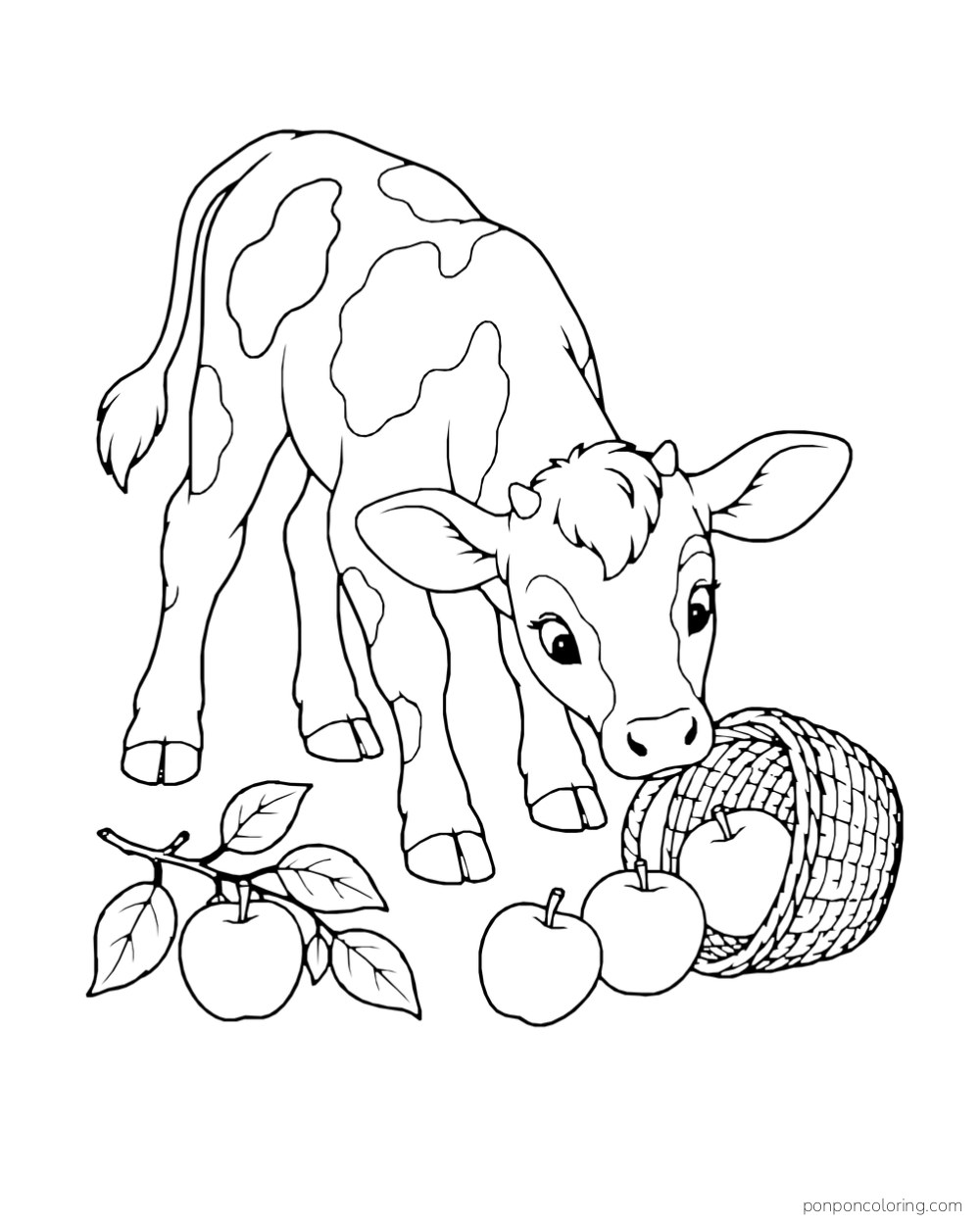 A calf sniffs apples spilled beside a tipped wicker basket.