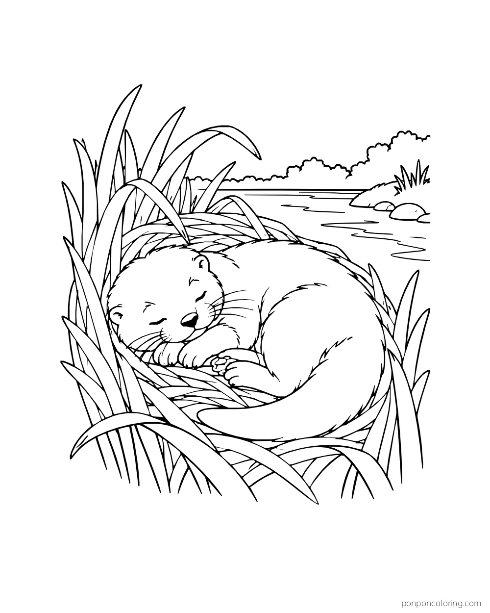 Otter curled asleep in a dry nest of tall river reeds.