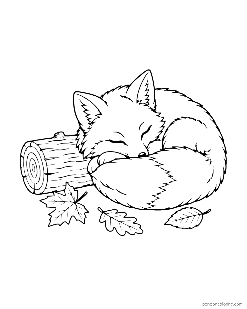 A fox sleeps curled against its tail beside a short log and three fallen leaves.