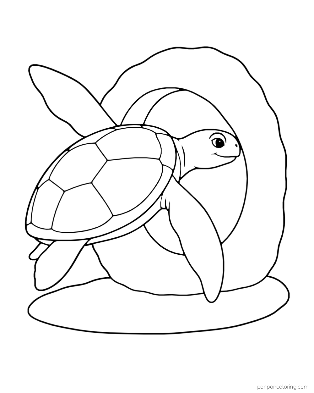 A sea turtle tilts beside a large round opening in a reef rock.