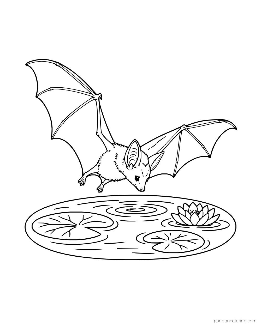 A bat skims over a round pond with lily pads and one water lily.