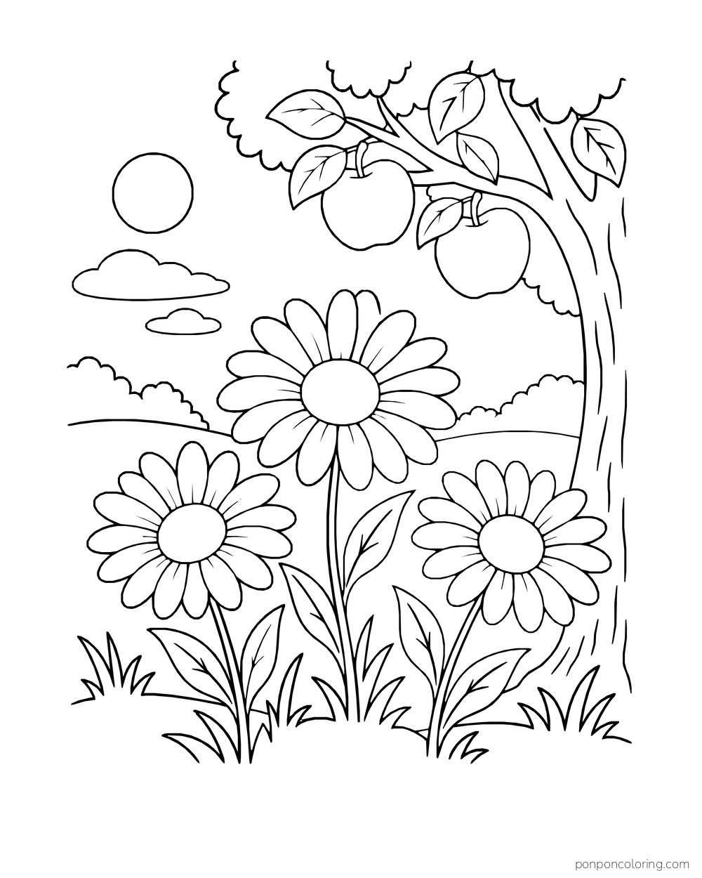 Three daisies bloom beneath an apple tree with large fruit above.