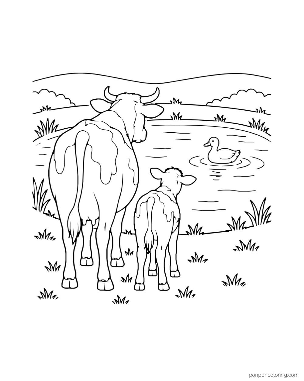 A cow and calf viewed from behind watch a duck on a pond.