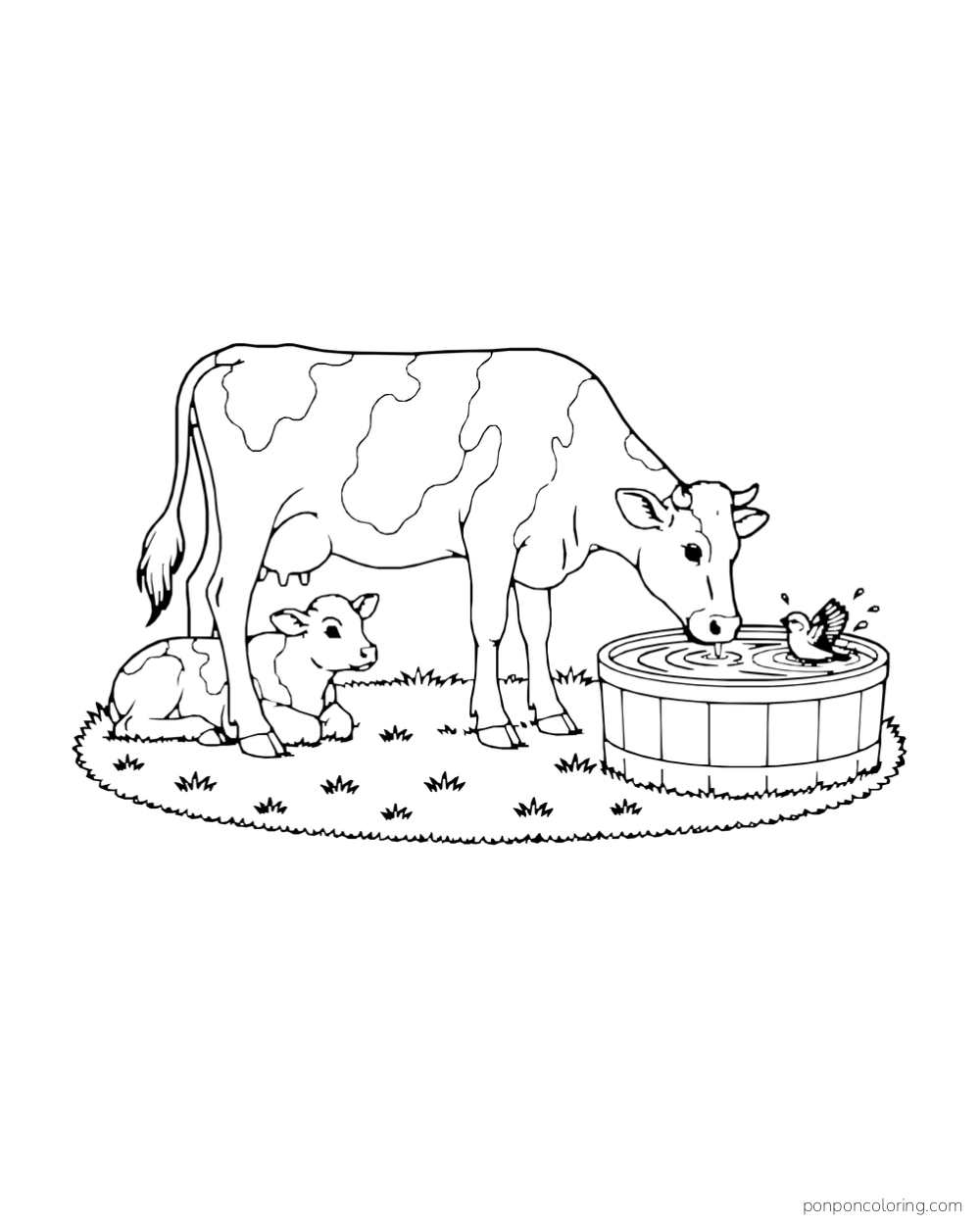 A cow drinks from a round trough while a calf rests nearby.