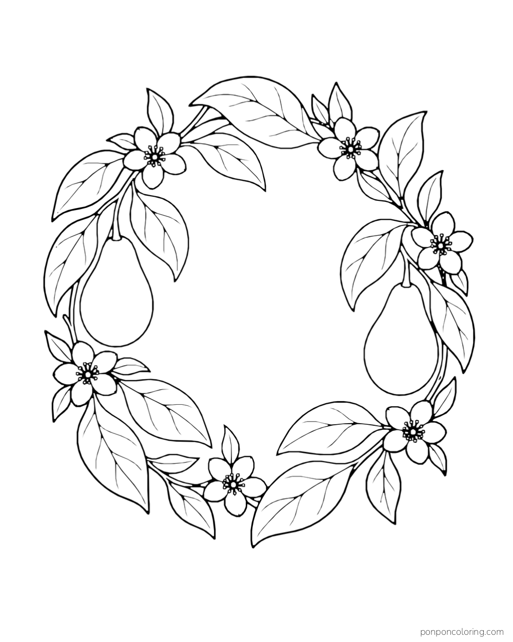 Two avocados, broad leaves, and blossoms form an open circular wreath.