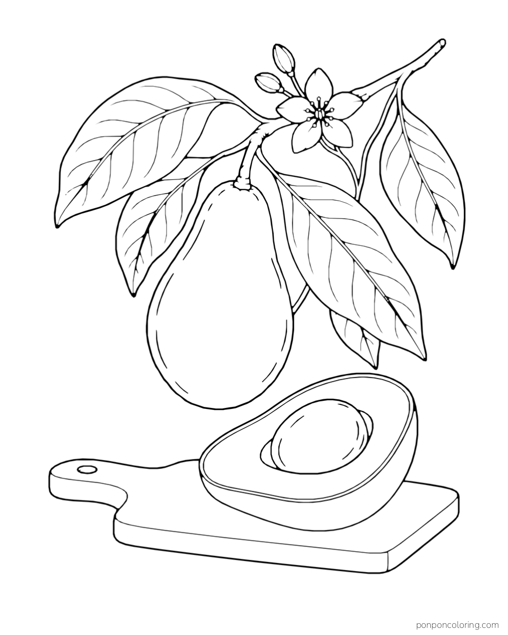 A whole avocado and flowers hang from a leafy branch above a cut half on a board.