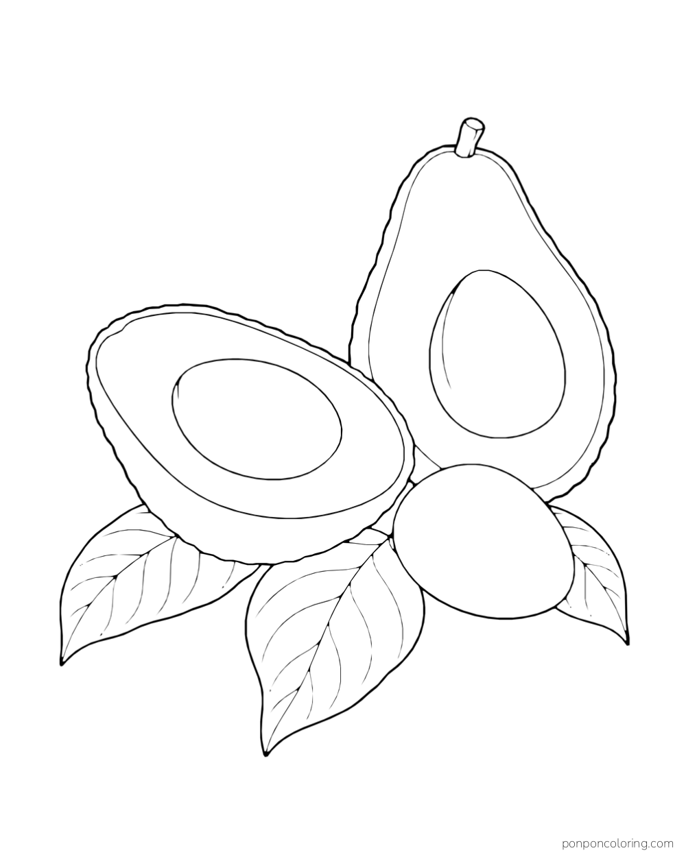 Two avocado halves with seed cavities and one loose seed on leaves.