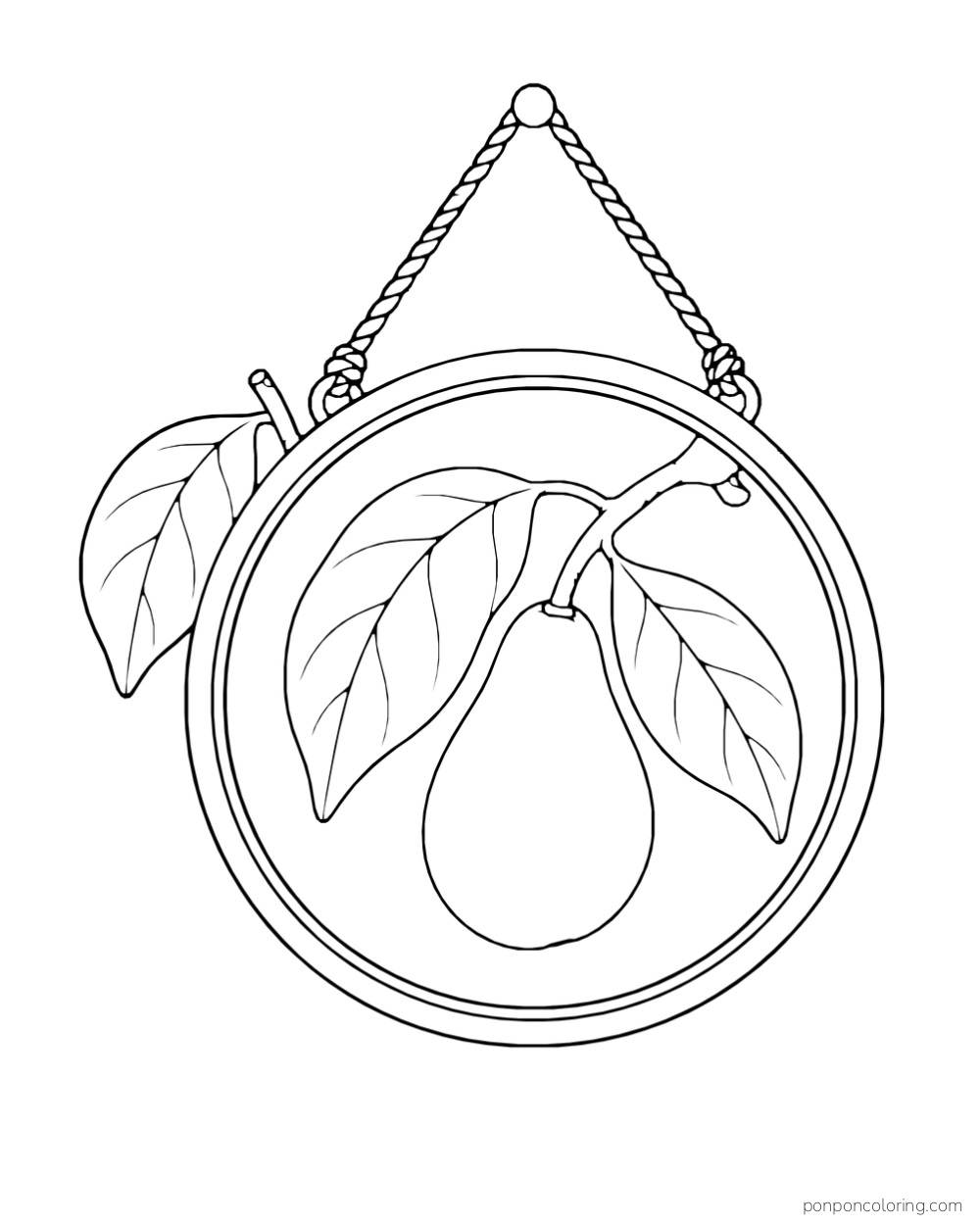 A round hanging garden mirror reflects an avocado fruit and leaves beside one outer leaf.