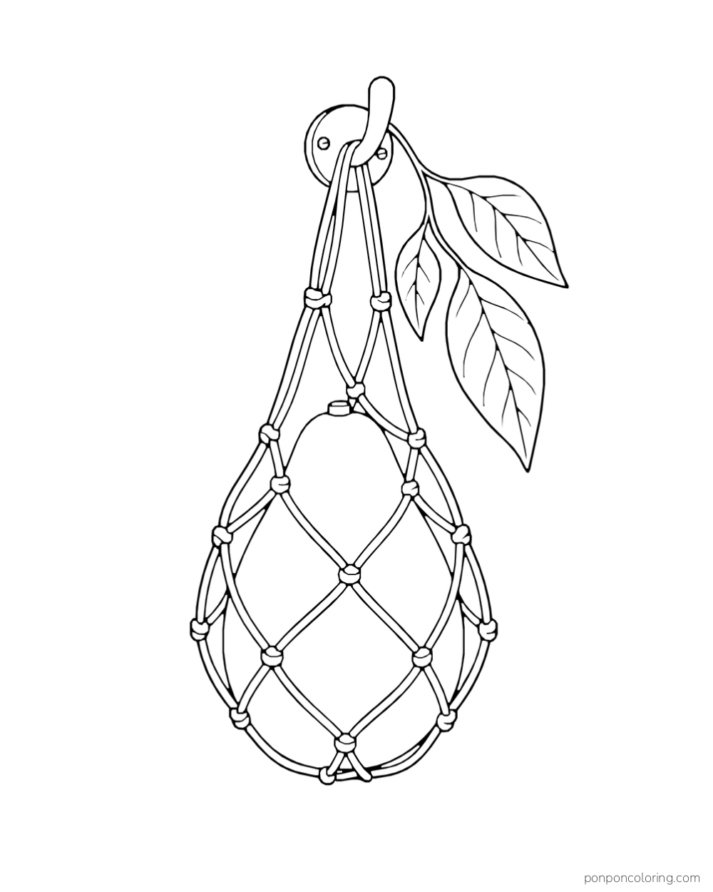 A whole avocado hangs inside a produce bag from a kitchen hook beside two leaves.