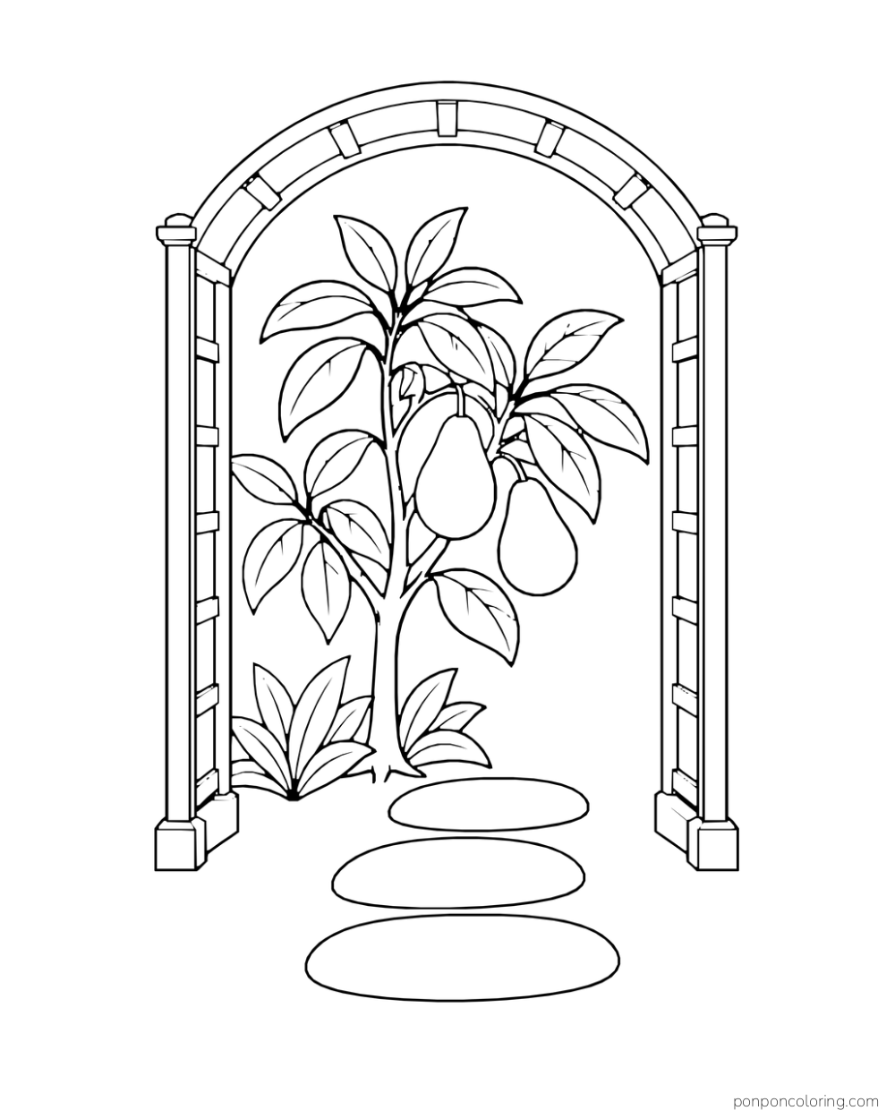 A young avocado tree with two hanging fruits beside three stepping stones under a garden arch.