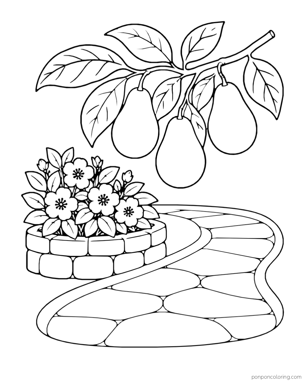 Three avocados hang over a curved garden path beside a closed stone flower planter.
