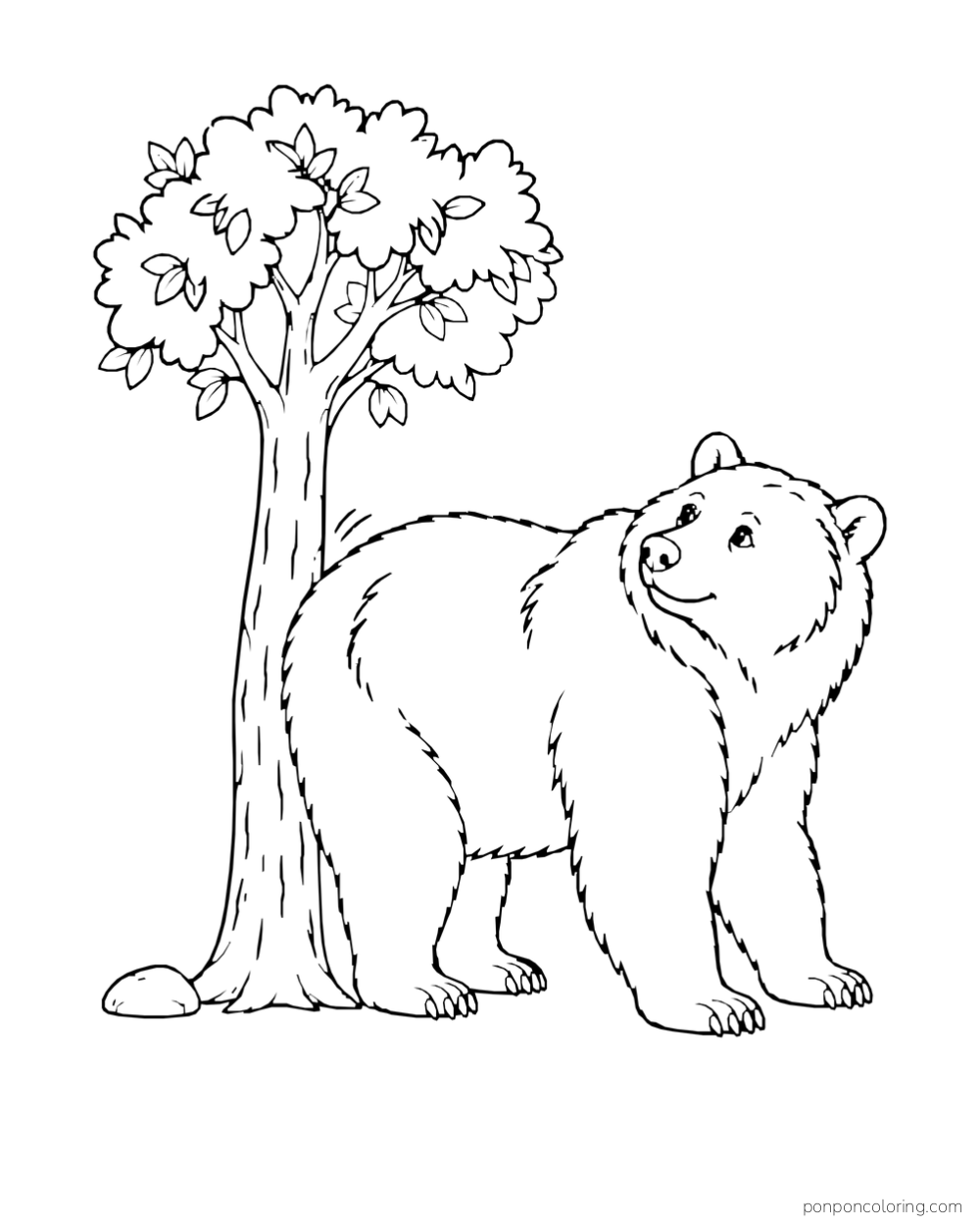 A broad four-paw bear stands against a complete small tree and looks upward.
