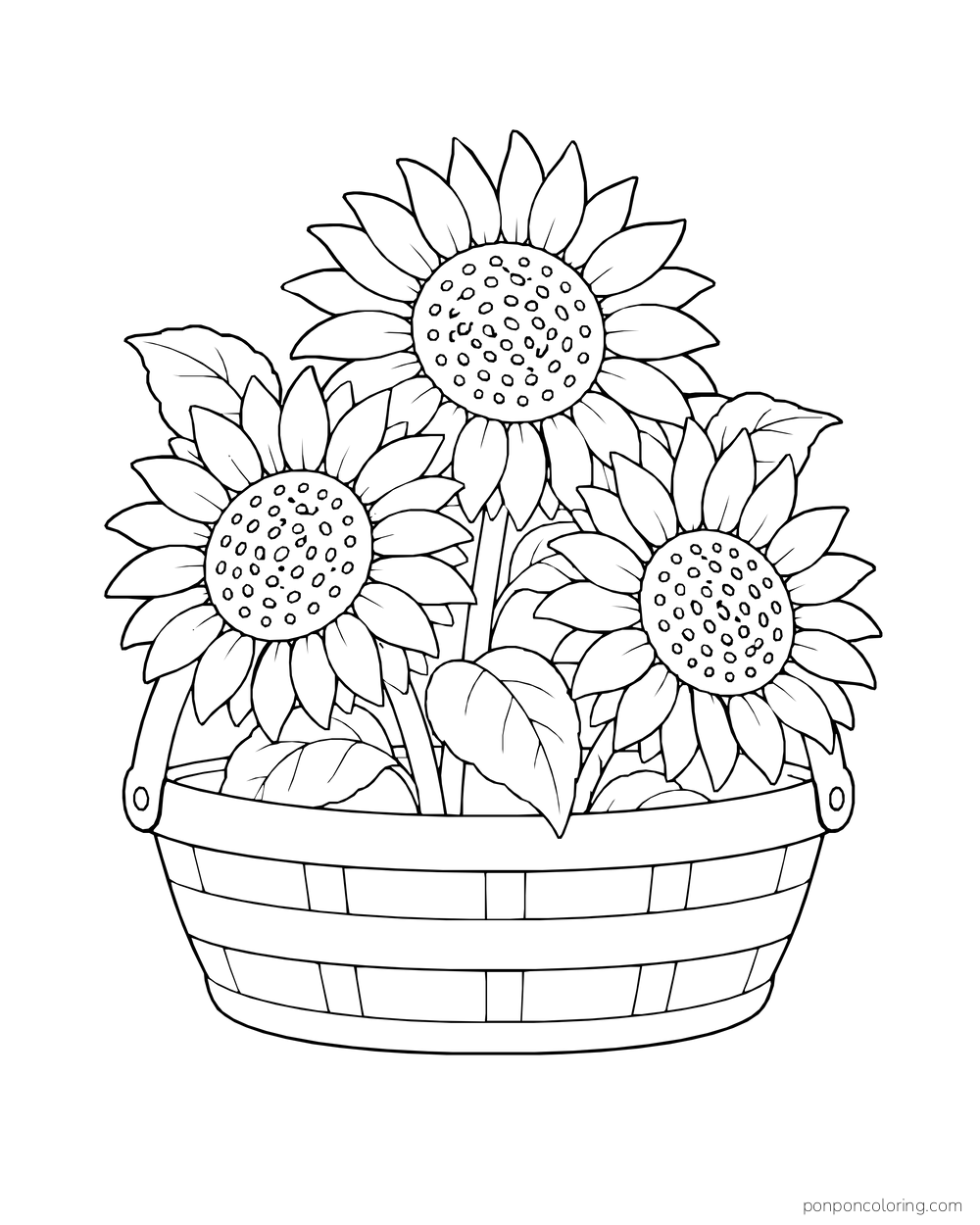 Three sunflower heads rising from a shallow handled basket.