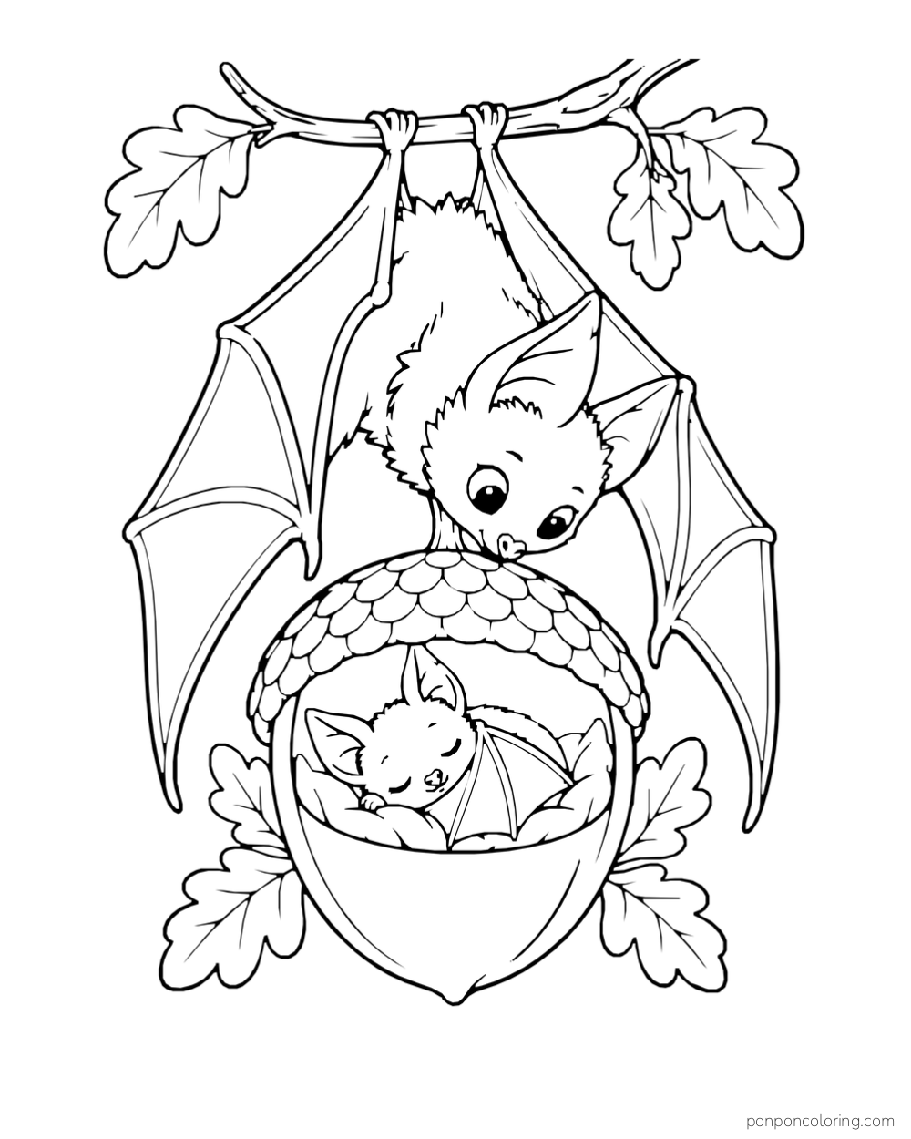 An adult bat hangs above an acorn cradle holding a sleeping bat pup.