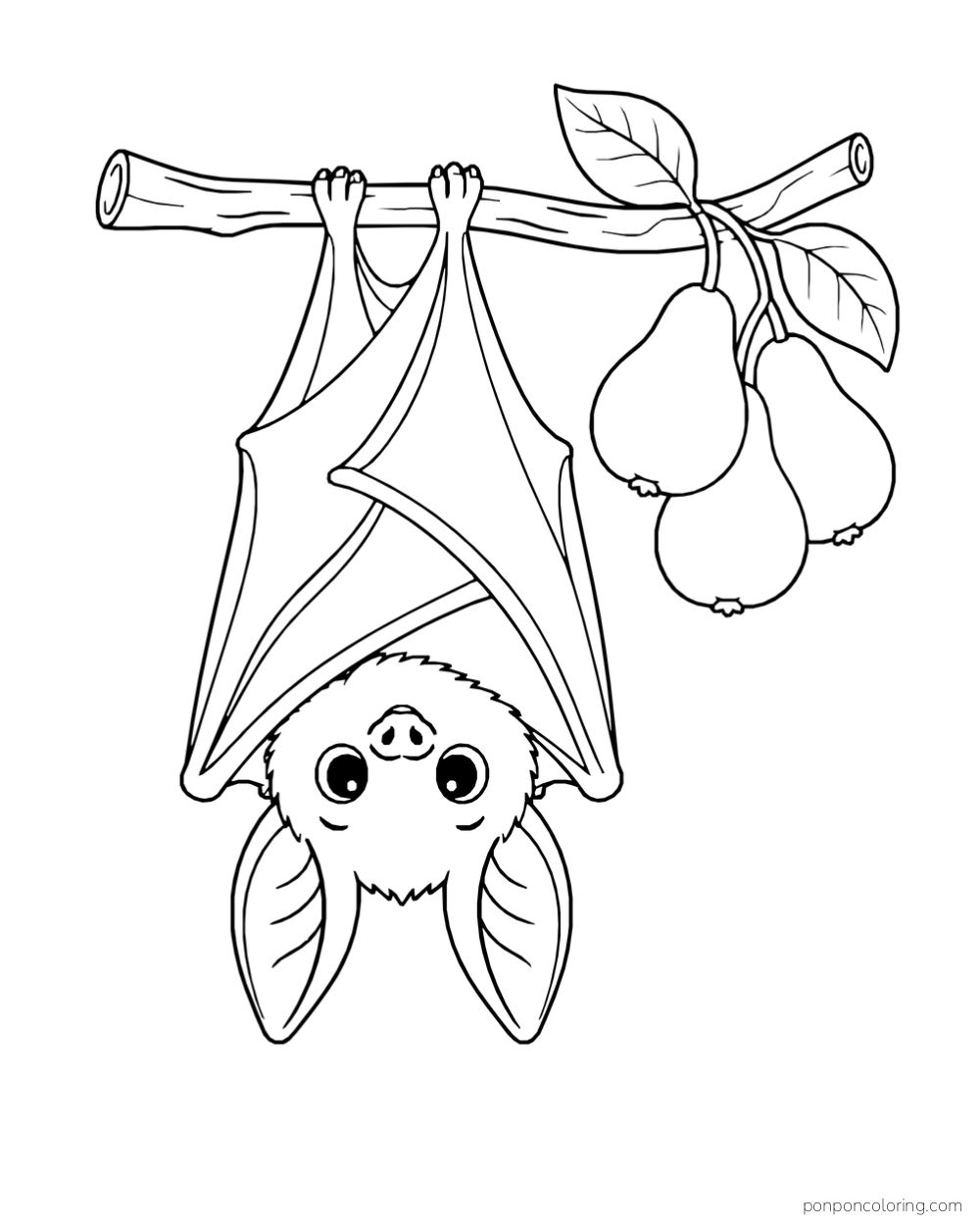 An upside-down bat with wrapped wings gripping a branch beside three pears and two leaves.