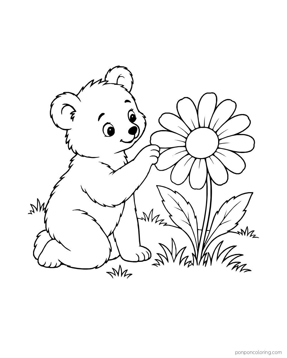 A kneeling bear cub touches one petal of a daisy in a meadow.