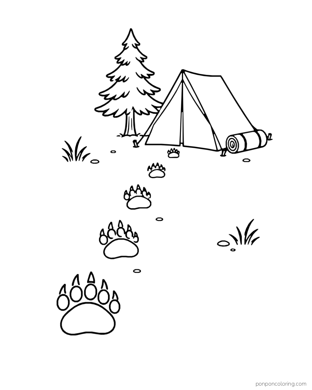 A line of bear paw prints leads to a closed tent beneath a pine.