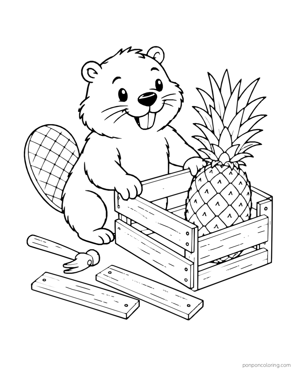 Beaver placing a board on a wooden crate around one whole pineapple.