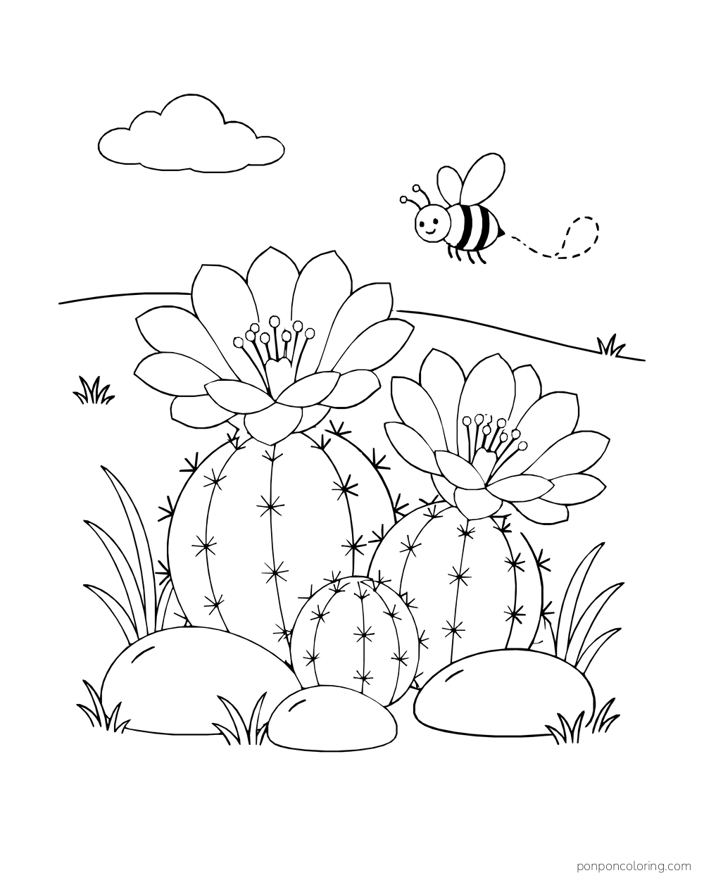 A bee flies above a low group of flowering hedgehog cacti among smooth stones.