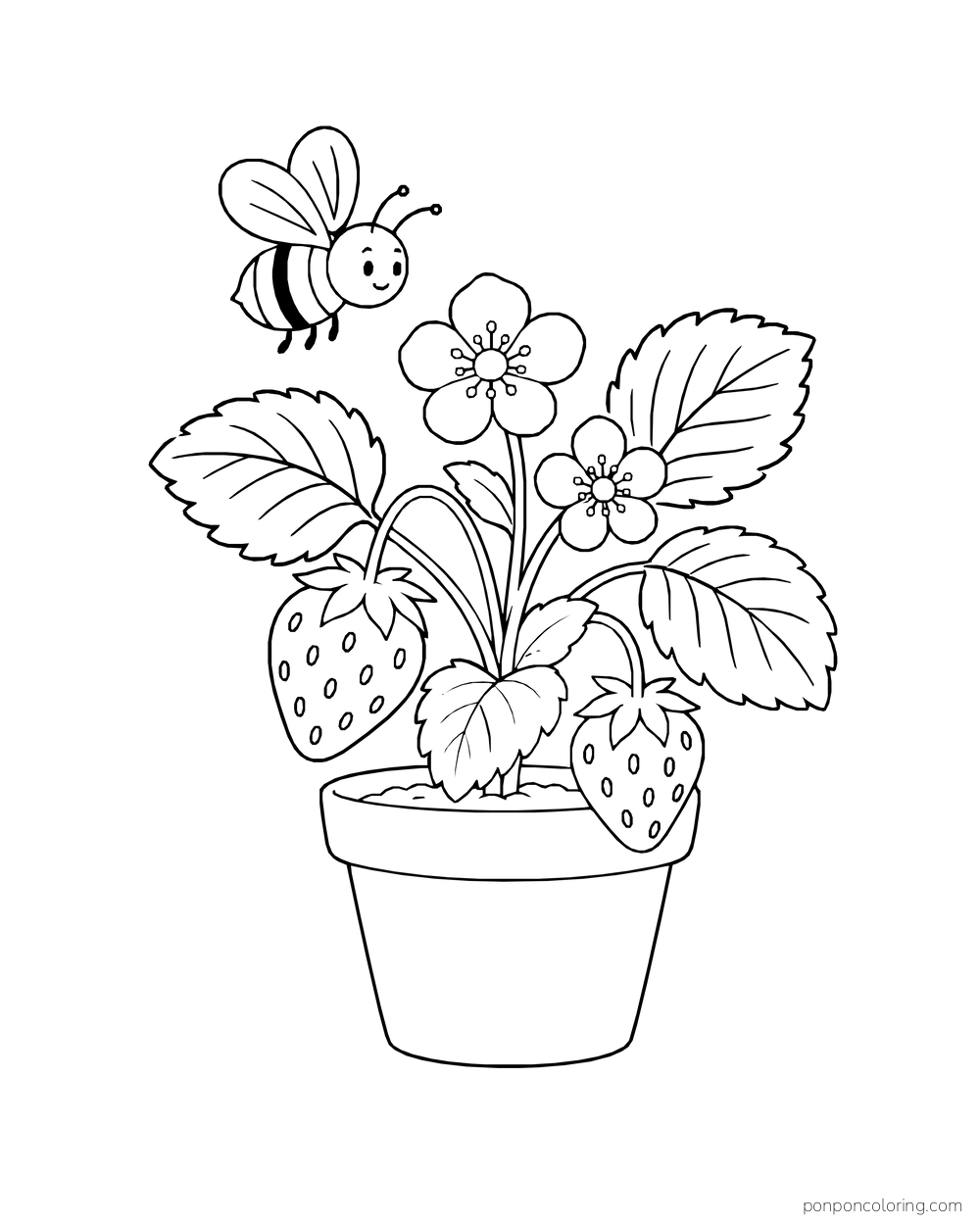 A bee flies over a potted strawberry plant with blossoms and two berries.