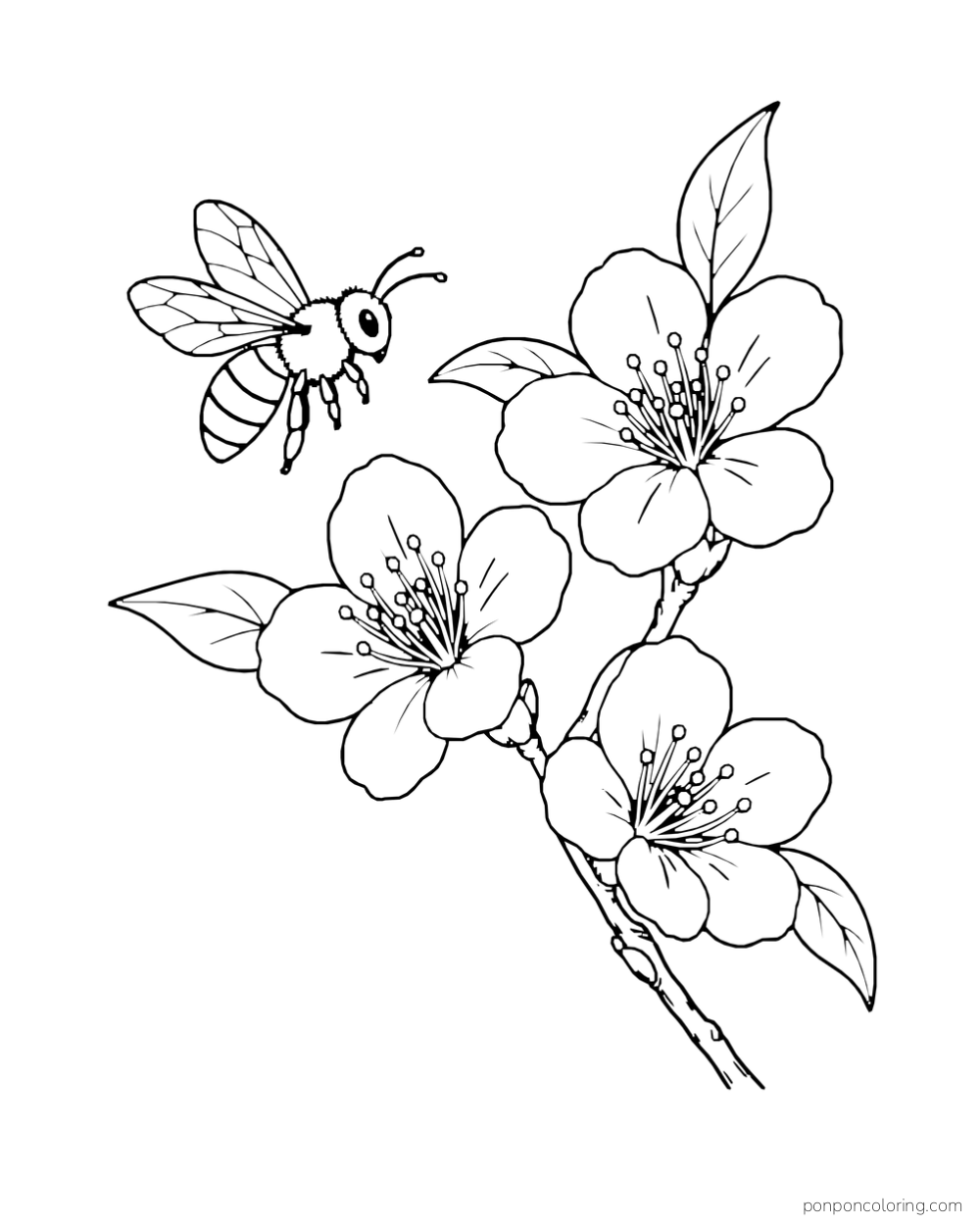 Bee hovering beside three blossoms on a curved leafy twig.