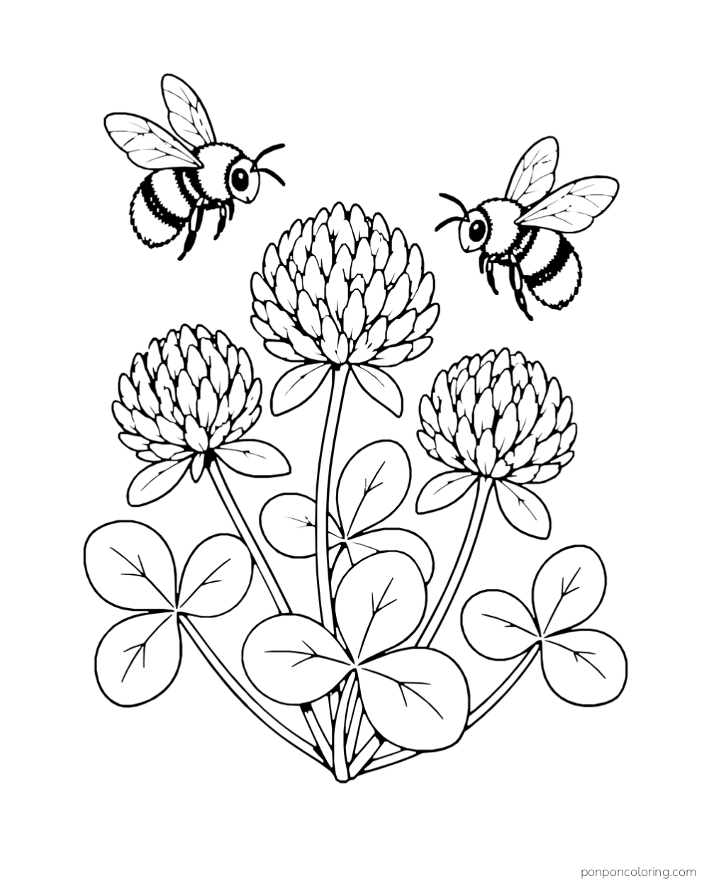 Two bees hover above three clover blossoms and rounded clusters of leaves.