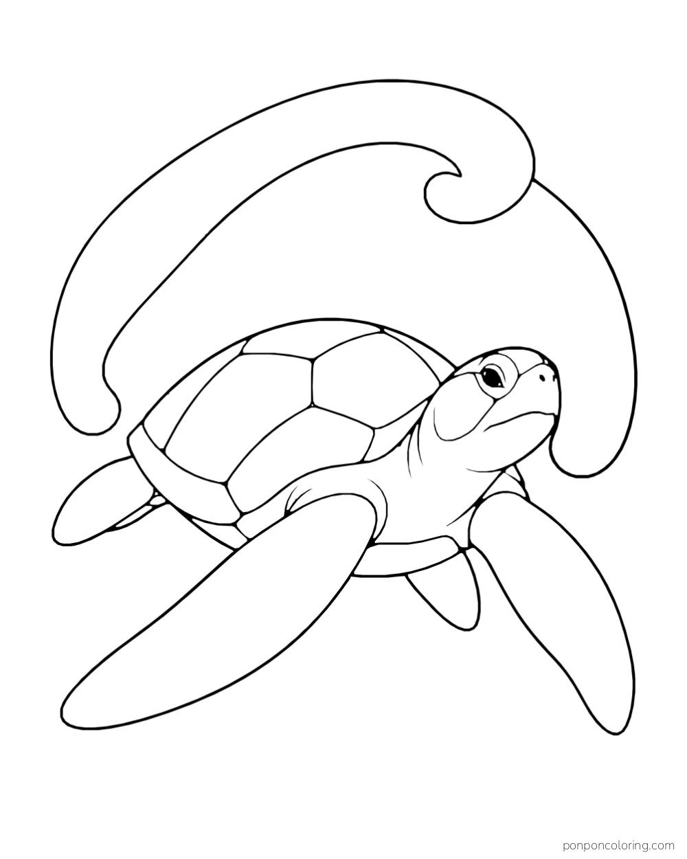 A sea turtle swims toward the viewer below one broad curved water band.