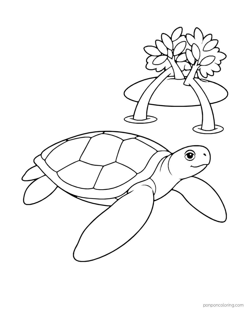 A sea turtle glides below two small coastal trees on a raised islet.
