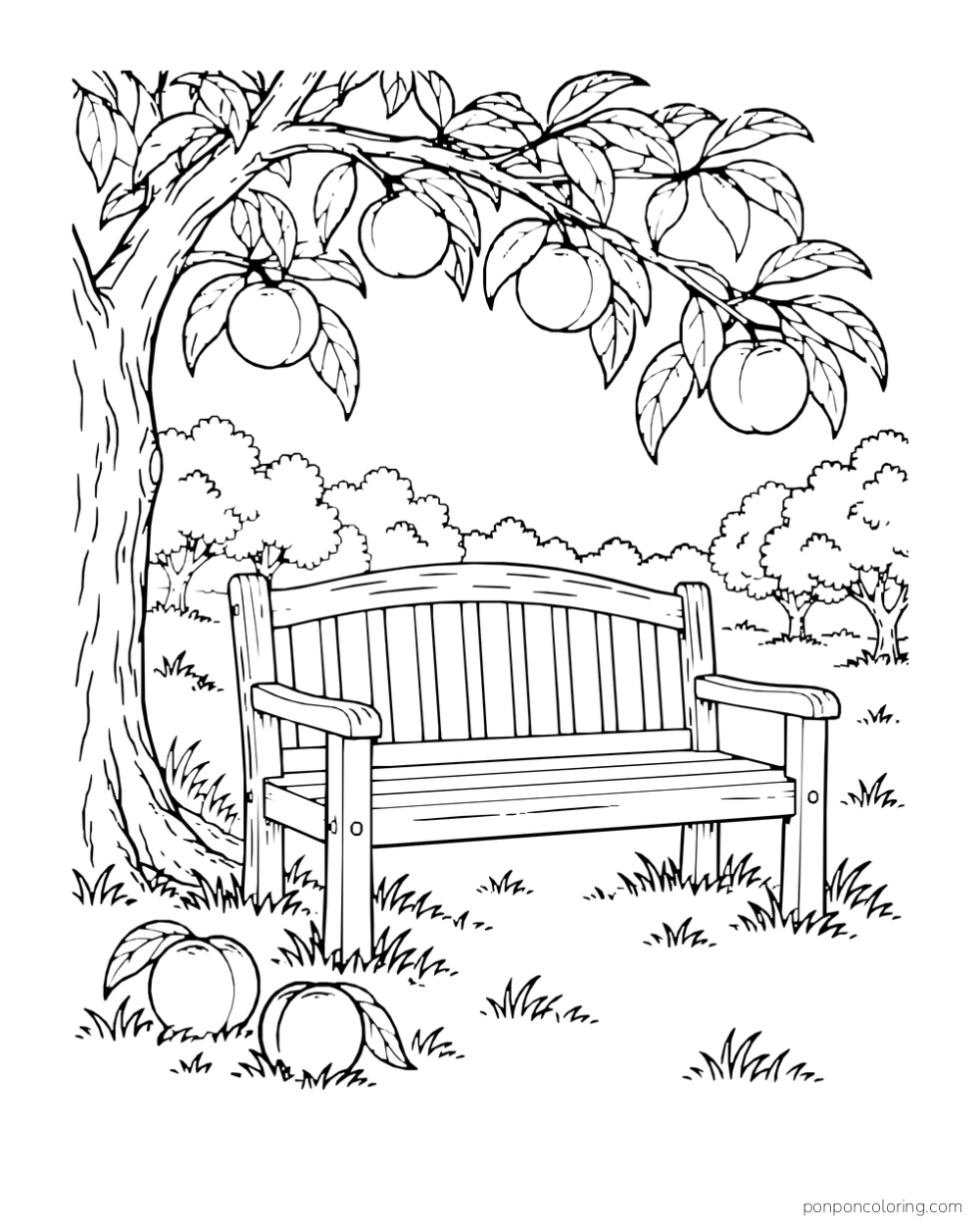 Empty wooden orchard bench beneath a peach branch with two fallen peaches.