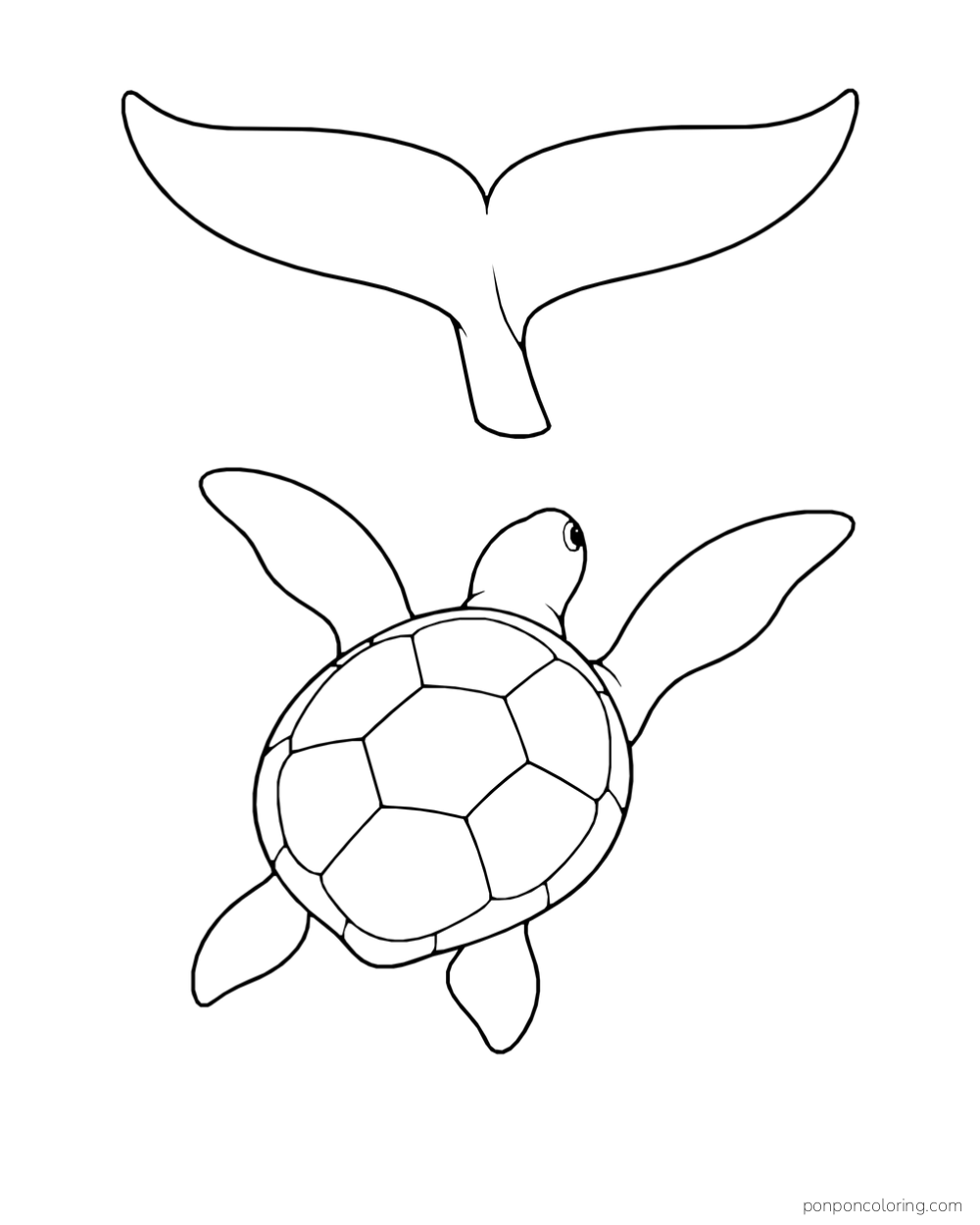 A sea turtle seen from behind swims below a large whale tail.