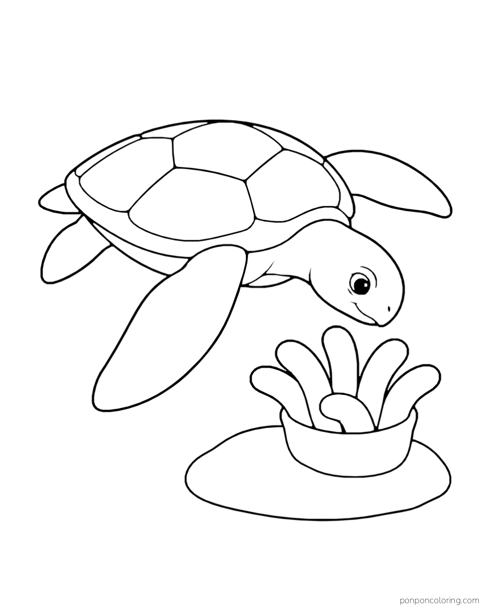 A broad-shelled sea turtle hovers beside a cup-shaped sea plant with thick lobes.