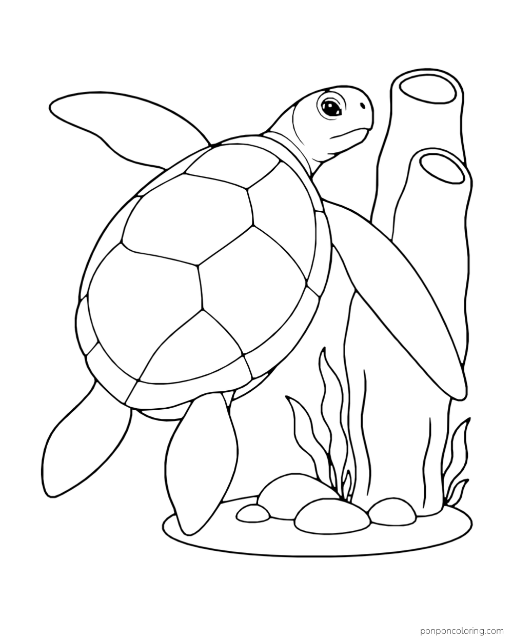 A sea turtle turns beside two tall tubular sea sponges on a small seabed patch.