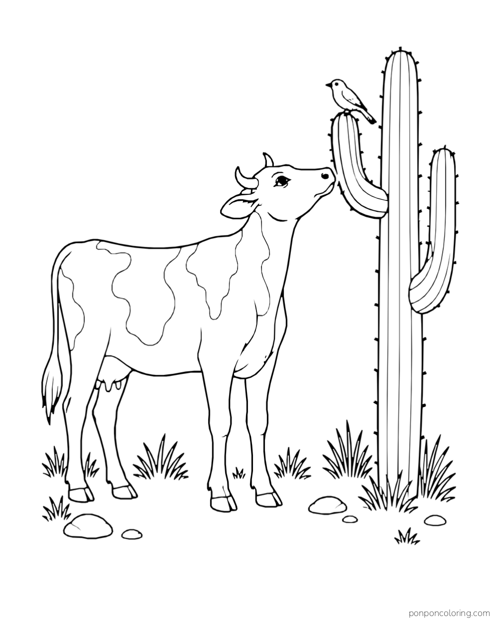 A cow looks up at a bird perched on a tall cactus.