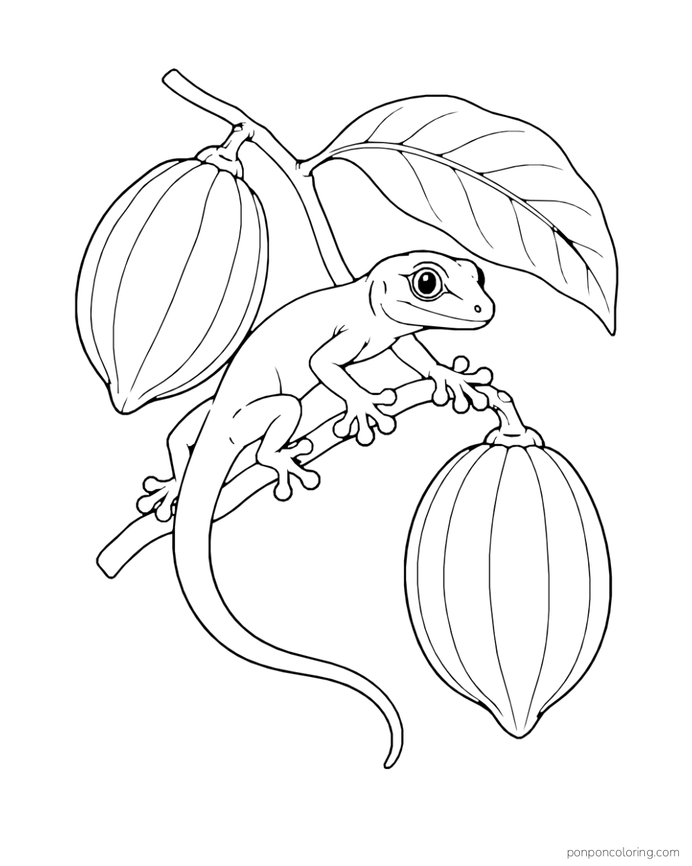 A gecko grips a curved twig between two large hanging seed pods and a broad leaf.