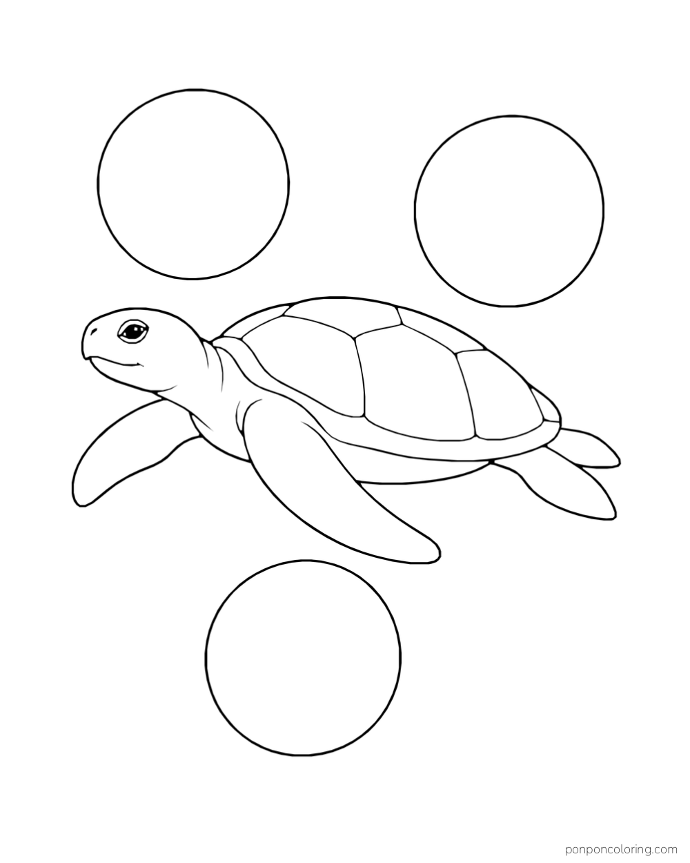 A sea turtle glides between three large separate round bubbles.
