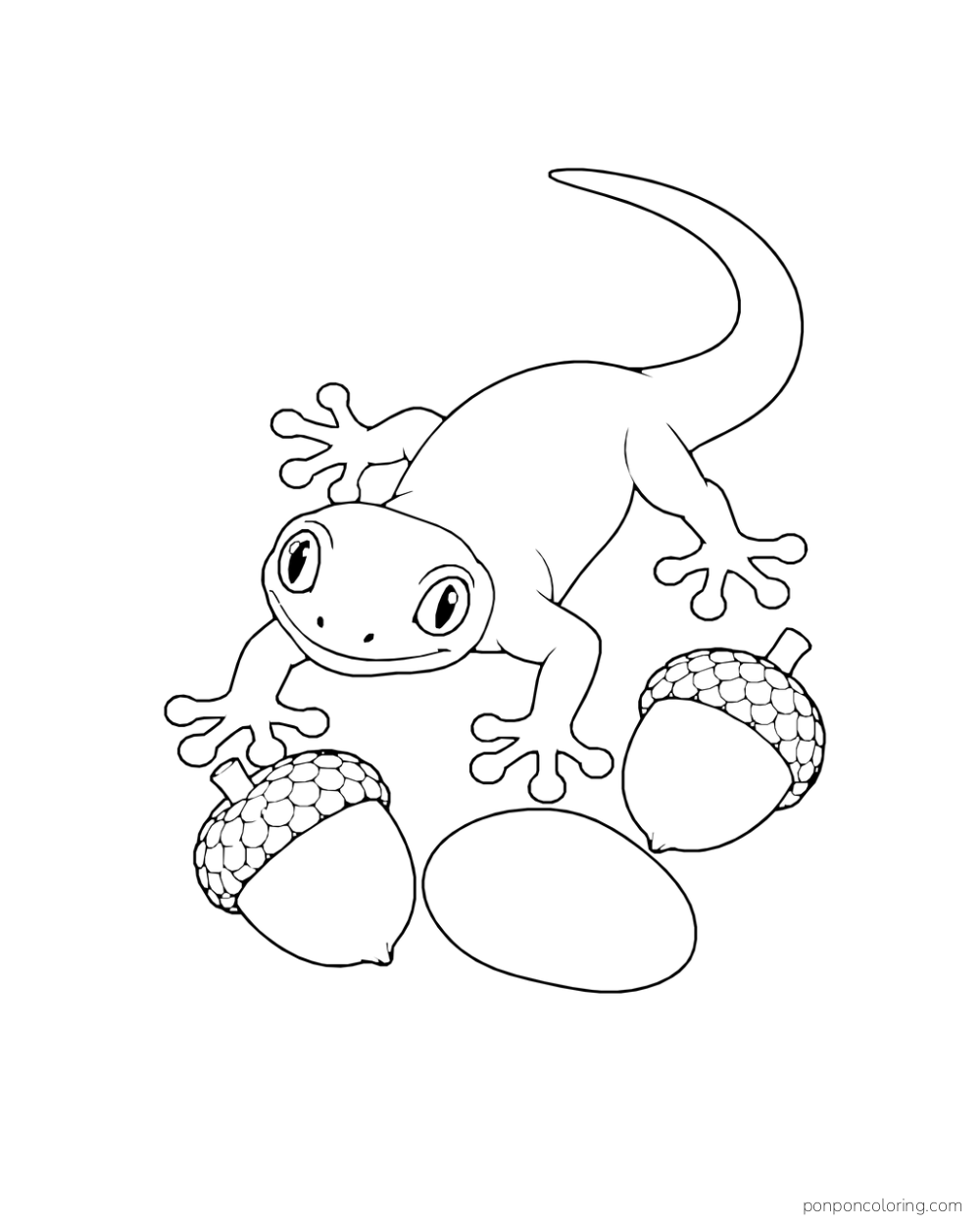A gecko seen from above rests between two acorns and a smooth oval stone.