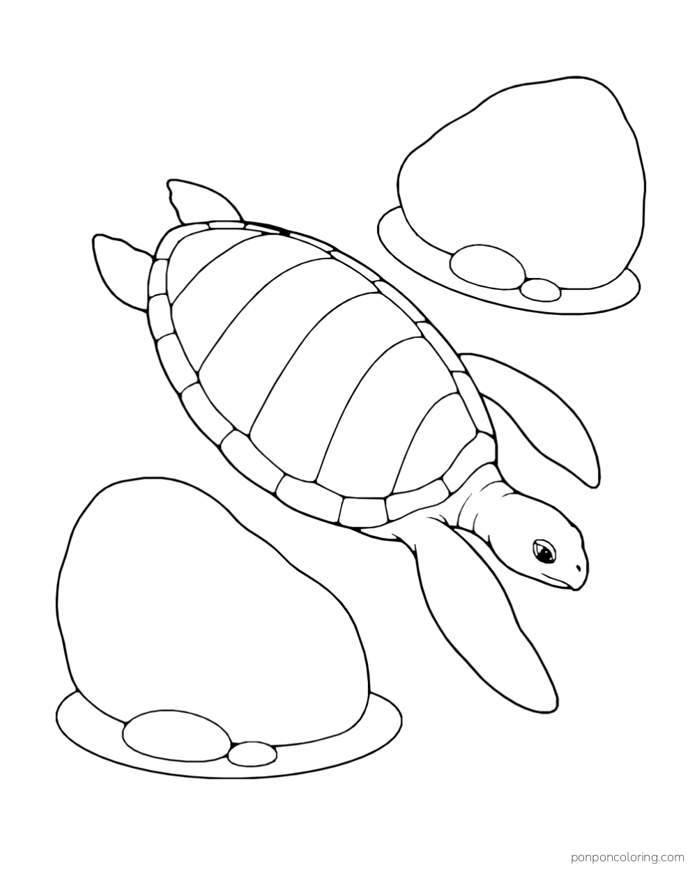 A long-shelled sea turtle swims diagonally between two separate rounded reef stones.