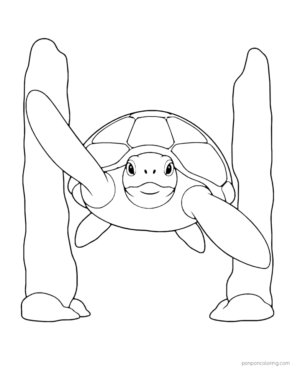 A sea turtle faces the viewer between two smooth upright rock columns.