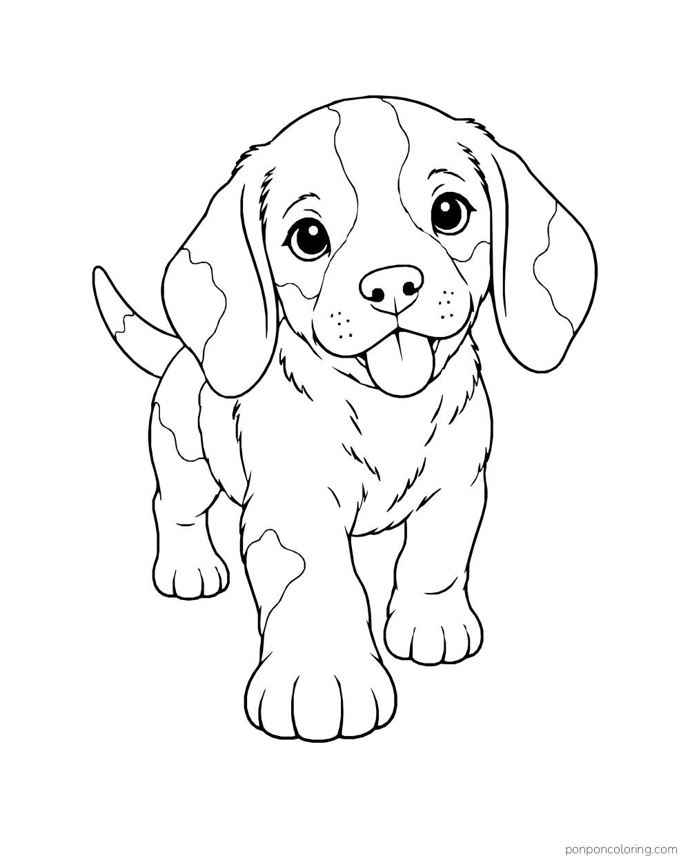 A patchy puppy walks forward with large front paws and a gently wagging tail.