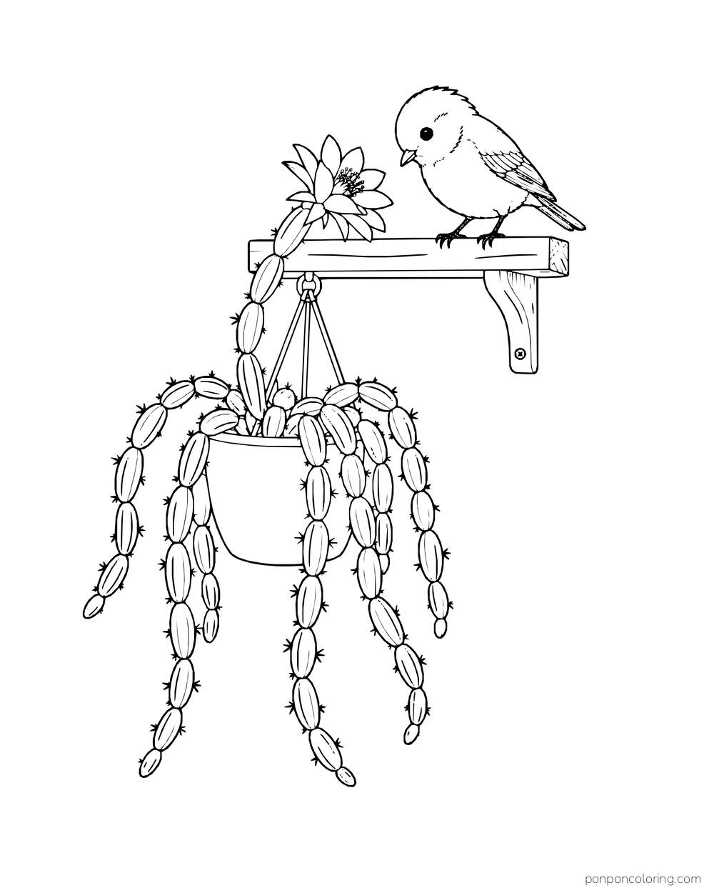 A bird perches above a flowering cactus whose segmented stems trail from a hanging pot.