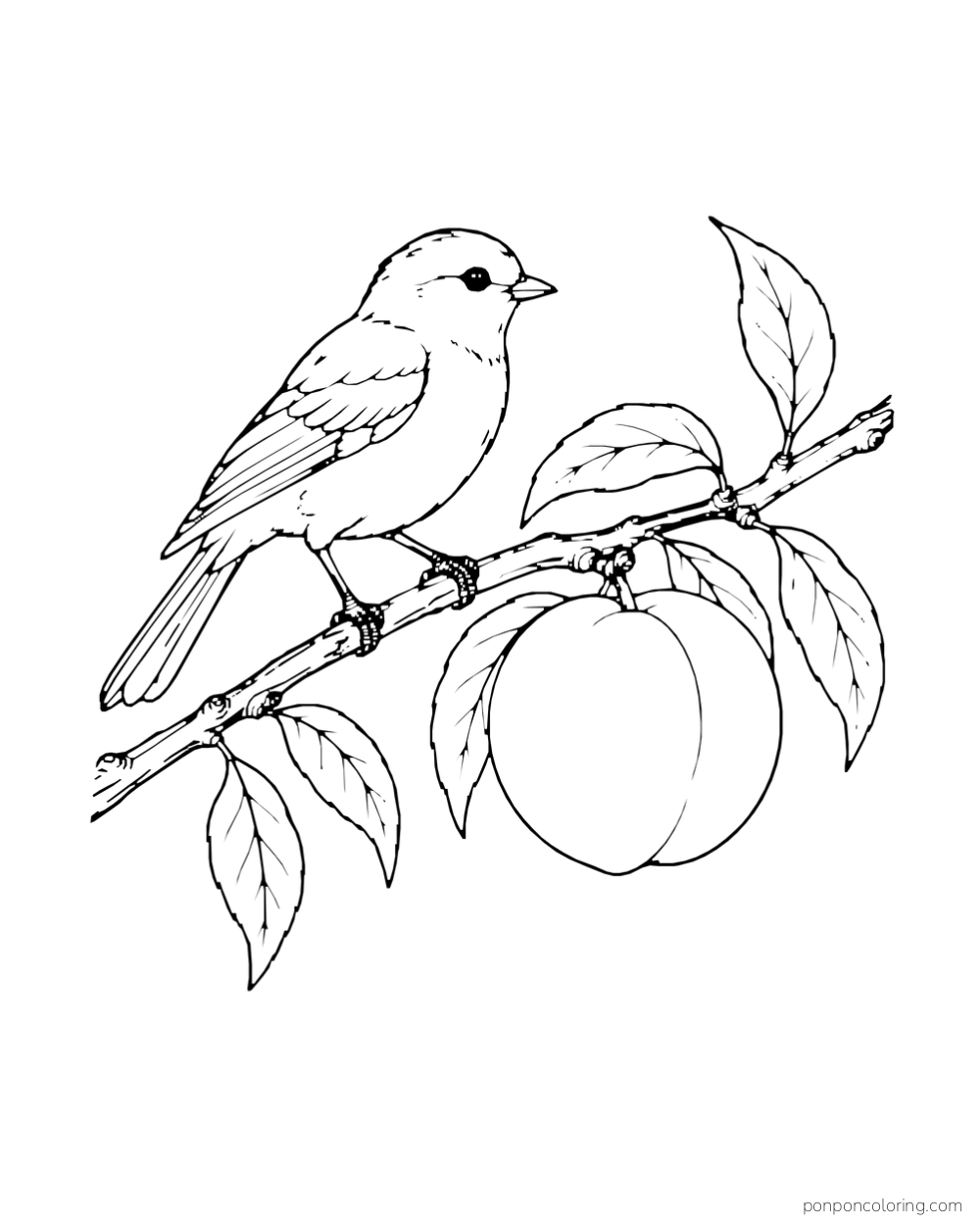 Small bird perched next to a large peach on a leafy branch.