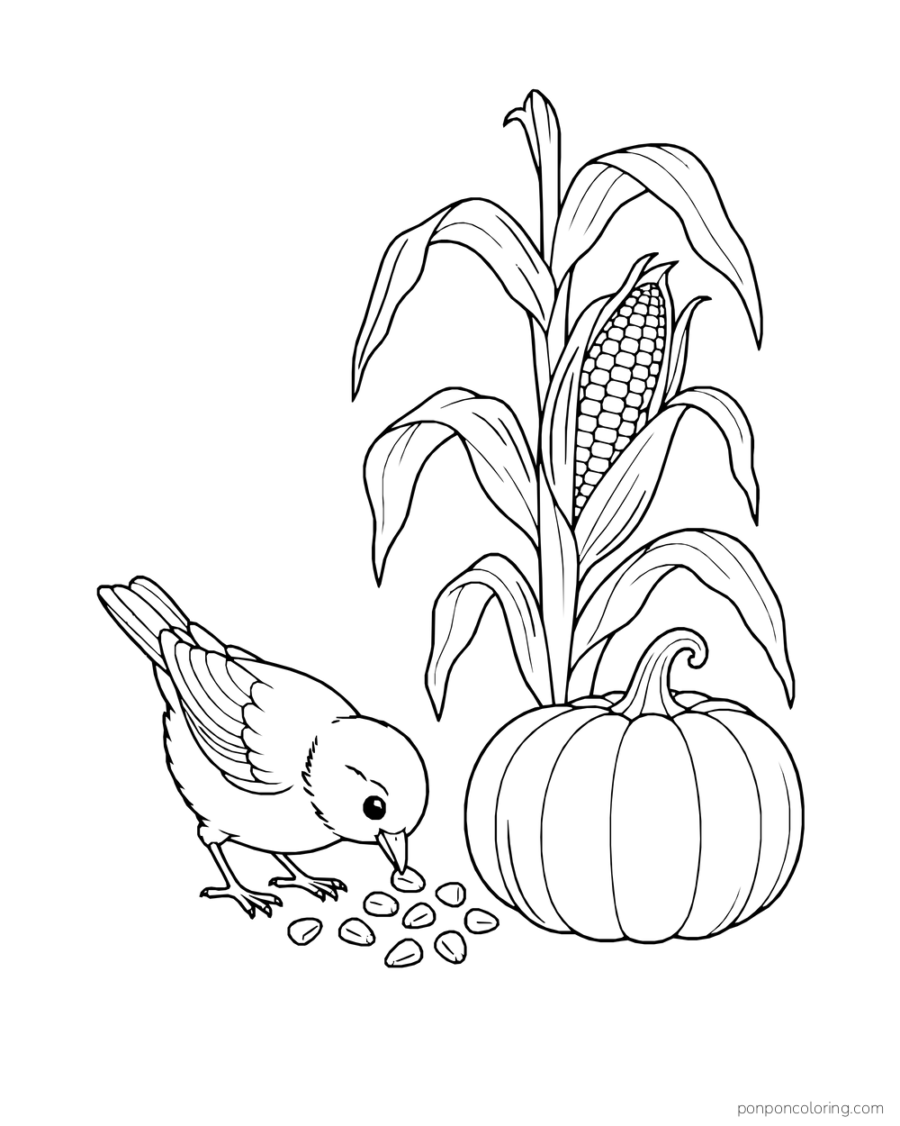 A small bird pecks at kernels near a corn stalk and pumpkin.